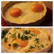 Egg1